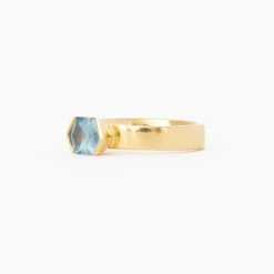 1.33 ct Silver Hexagon Montana Sapphire Half-Bezel Temple Ring