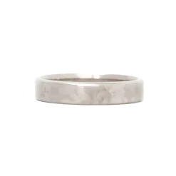 Cannon 4mm Hammered Band