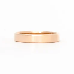 Cannon 4mm Polished Band