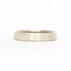 Cannon 4mm Polished Band