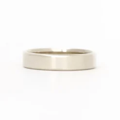 Cannon 5mm Polished Band