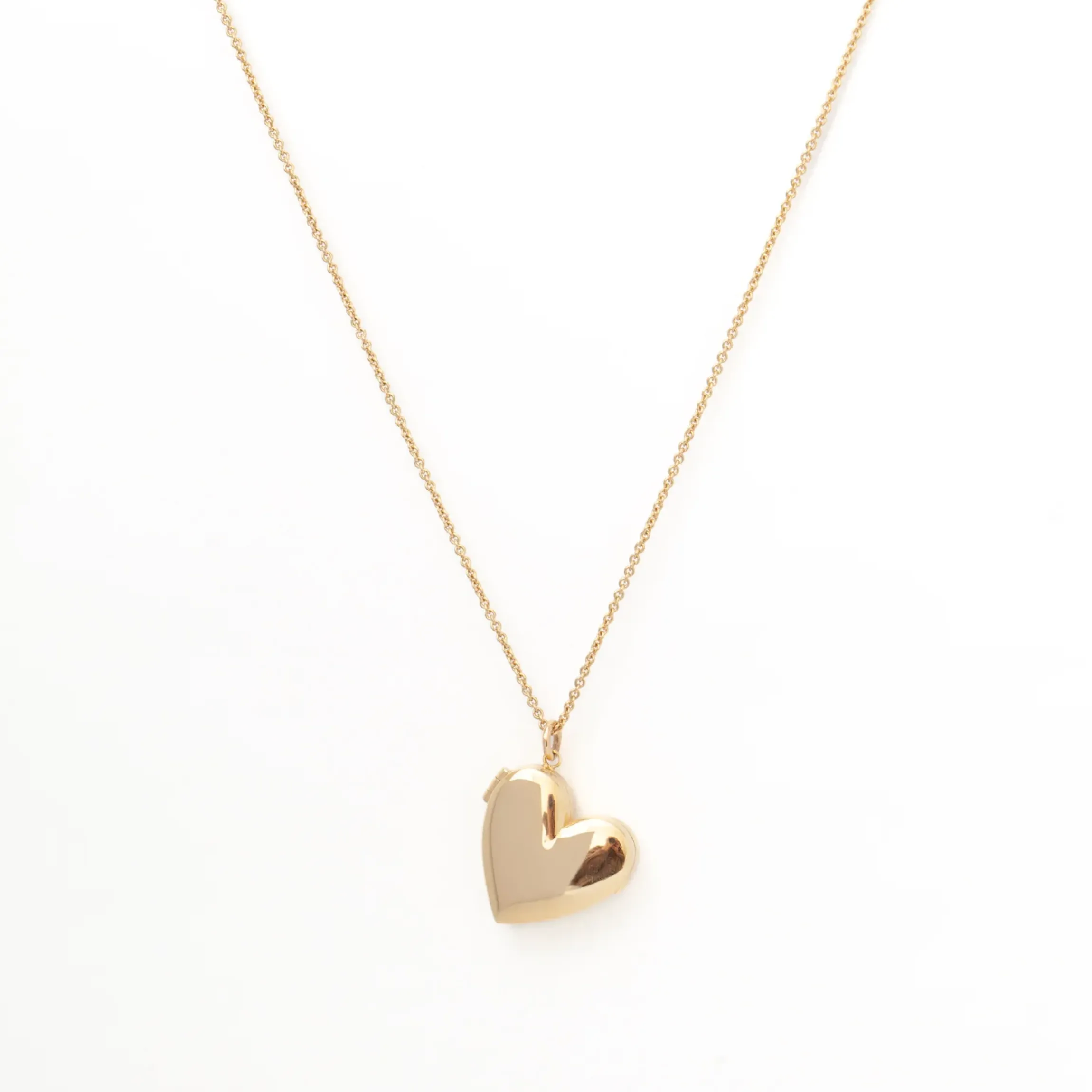 Heart Locket Long Chain Necklace