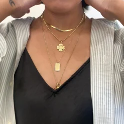 Pavé Dog Tag Necklace