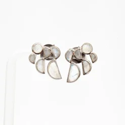 Rainbow Moonstone Prawn Earrings