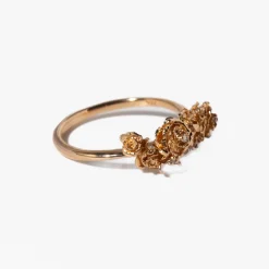 Roses & Hidden Fairy on Eos Garden Ring