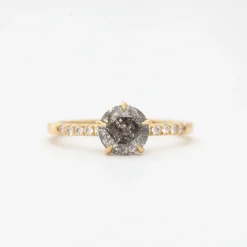 Salt and Pepper Diamond Vault Five-Prong Solitaire