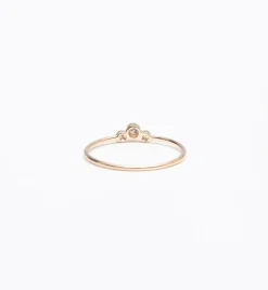 Small Graduated Bezel Ring