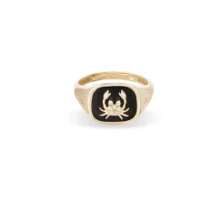 Zodiac Ceramic & Diamond Aries Signet Ring